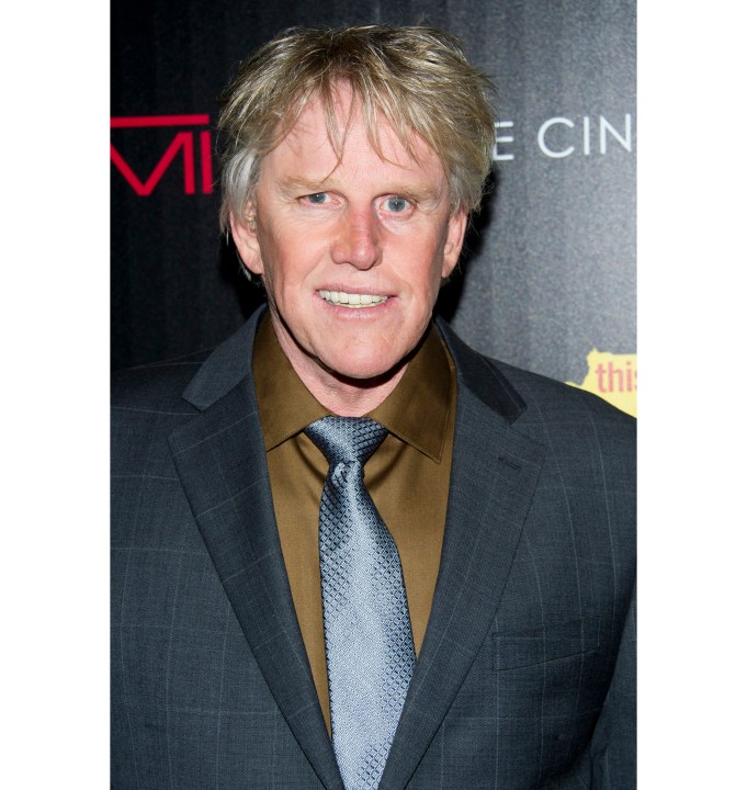 Gary Busey