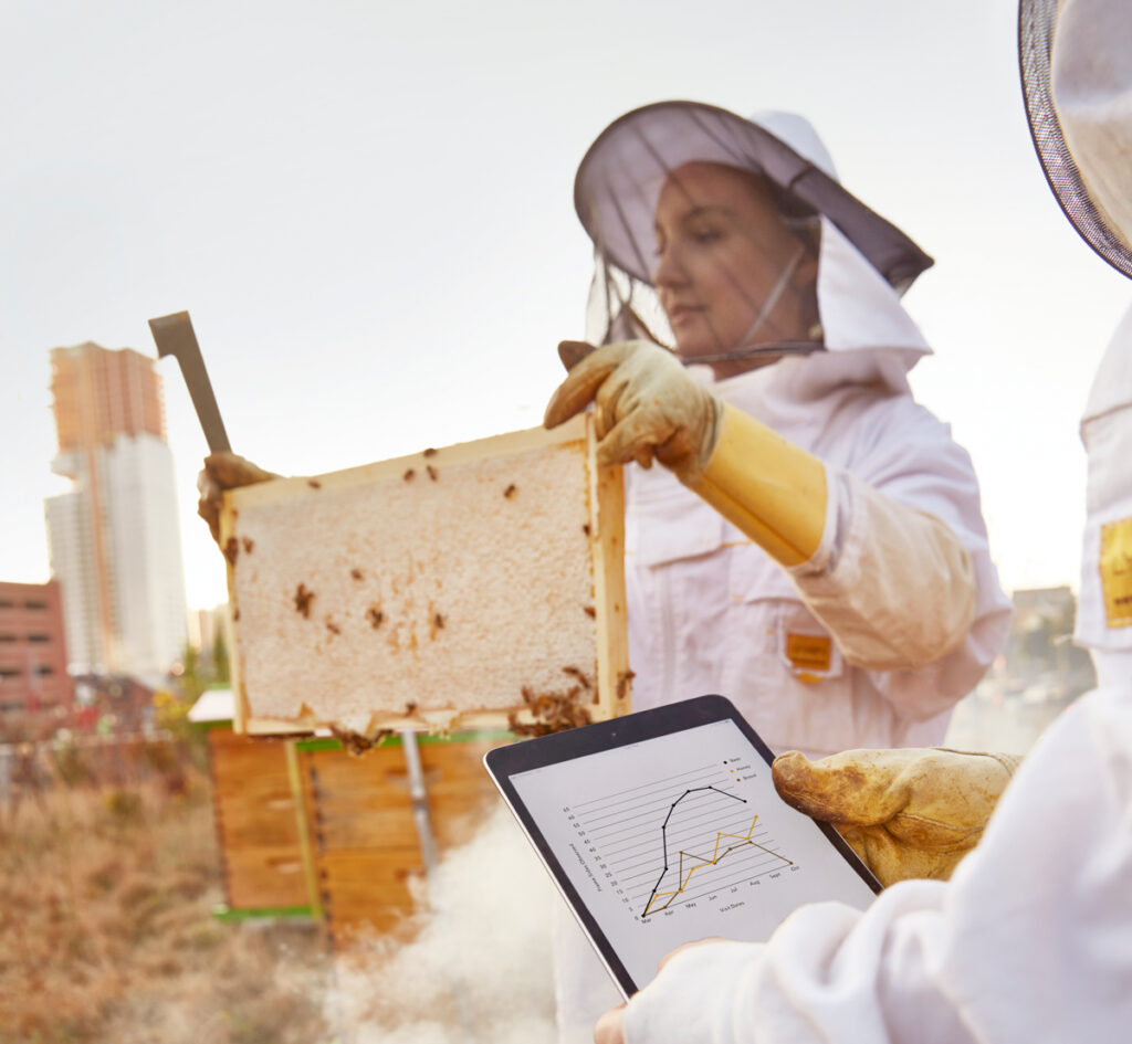 A woman in a beekeeping outfit holds up a hive