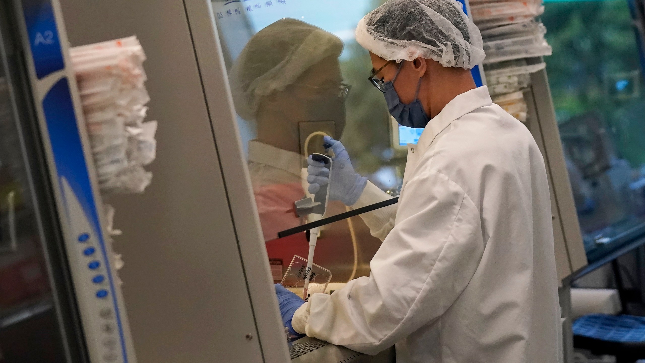 A scientist works in a cellular agriculture lab at Eat Just in Alameda, Calif., Wednesday, June 14, 2023. The U.S. government is allowing the sale of chicken made from animal cells. California companies Upside Foods and Good Meat were granted permission on Wednesday, June 21, 2023 to sell their products by the Agriculture Department. Proponents say this “cultivated meat” is better for animals and the environment because livestock doesn’t need to be raised and killed to produce it. (AP Photo/Jeff Chiu)