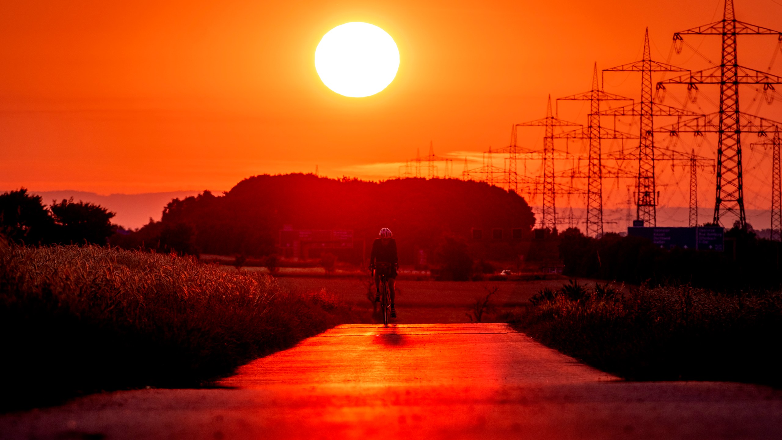 FILE - A man rides his bike on a small road in the outskirts of Frankfurt, Germany, as the sun rises on July 9, 2023. Scientists say crushing temperatures that blanketed Europe last summer may have led to more than 61,000 heat-related deaths, highlighting the need for governments to address the health impacts of global warming. (AP Photo/Michael Probst, File)