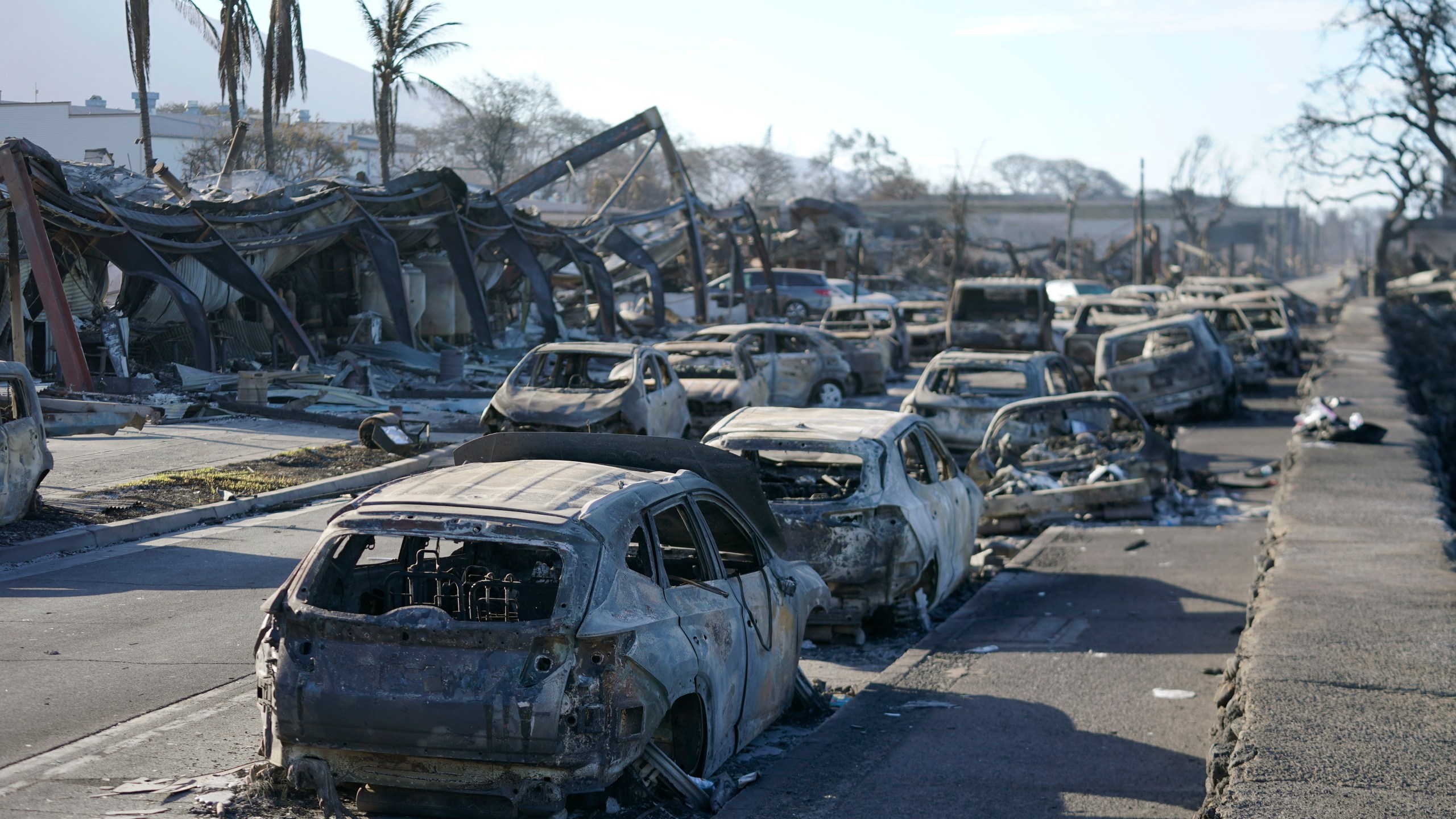 Burnt out cars line the sea wall after the wildfire on Friday, Aug. 11, 2023, in Lahaina, Hawaii. Hawaii emergency management records show no indication that warning sirens sounded before people ran for their lives from wildfires on Maui that wiped out a historic town.(AP Photo/Rick Bowmer)