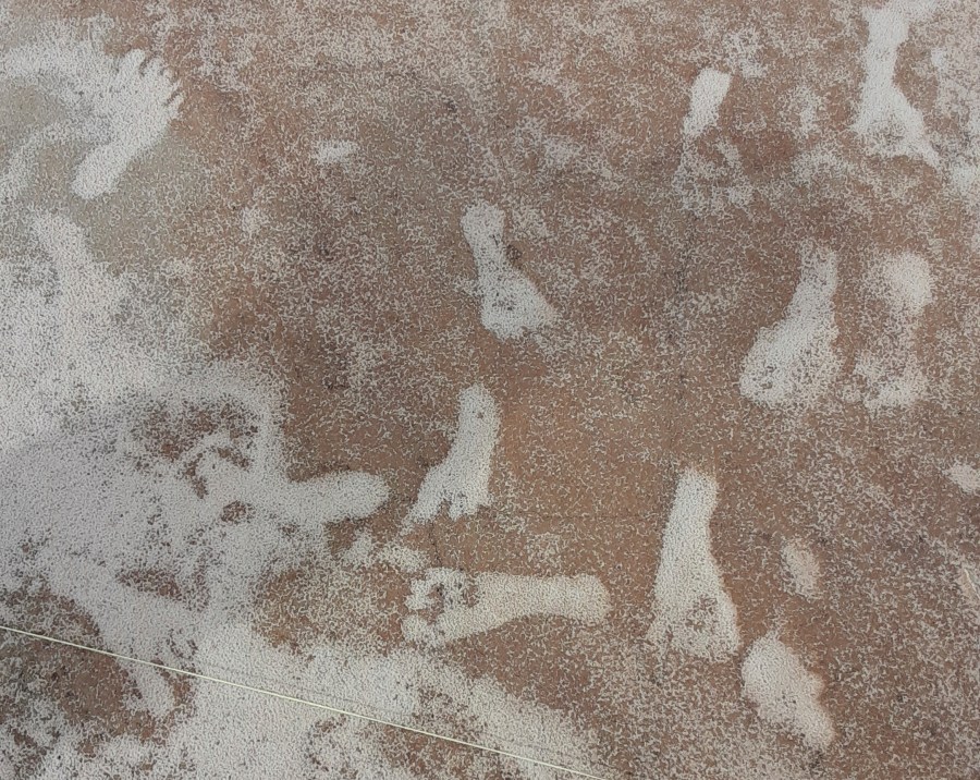 This Oct. 2023 photo made available by the National Park Service shows Human footprints infilled with white gypsum sand. at the White Sands National Park in New Mexico. Fossil human footprints discovered in White Sands, New Mexico likely date back to between 21,000 and 23,000 years ago, according to two lines of scientific evidence published Thursday, Oct. 5, 2023. (NPS via AP)