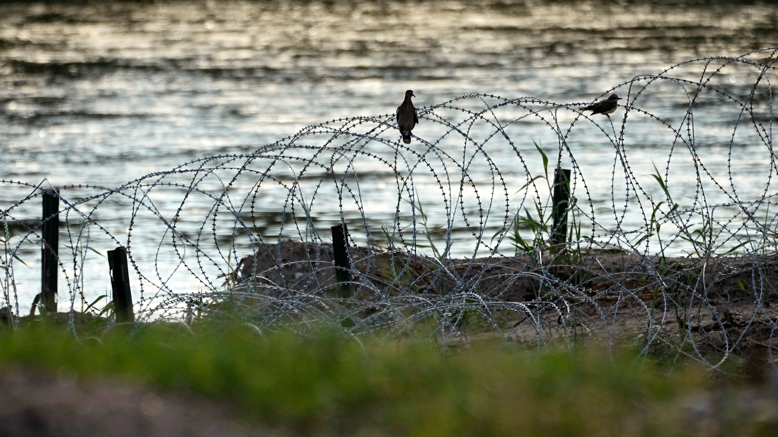 FILE - Birds rest on concertina wire along the Rio Grande in Eagle Pass,Texas, July 6, 2023. Texas sued the Biden administration Tuesday, Oct. 24, seeking to stop federal agents from cutting the state's razor wire that has gashed or snagged migrants as they have attempted to enter the U.S. from Mexico at the Rio Grande. (AP Photo/Eric Gay, File)