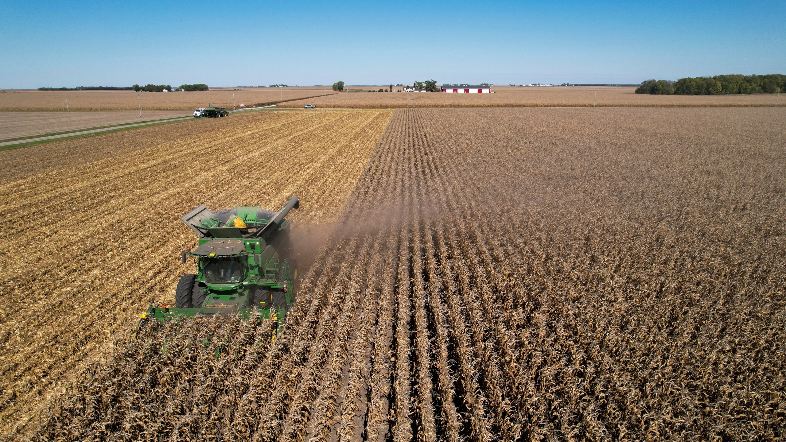 A combine harvests corn, Tuesday, Oct. 10, 2023, at a farm near Allerton, Ill. On Wednesday, the Labor Department releases producer prices data for October. (AP Photo/Joshua A. Bickel)