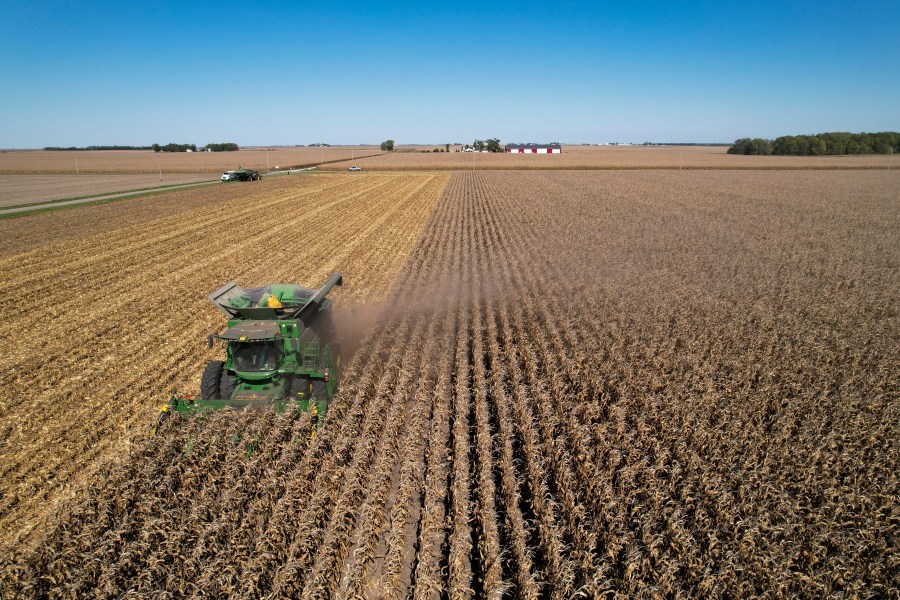 A combine harvests corn, Tuesday, Oct. 10, 2023, at a farm near Allerton, Ill. On Wednesday, the Labor Department releases producer prices data for October. (AP Photo/Joshua A. Bickel)