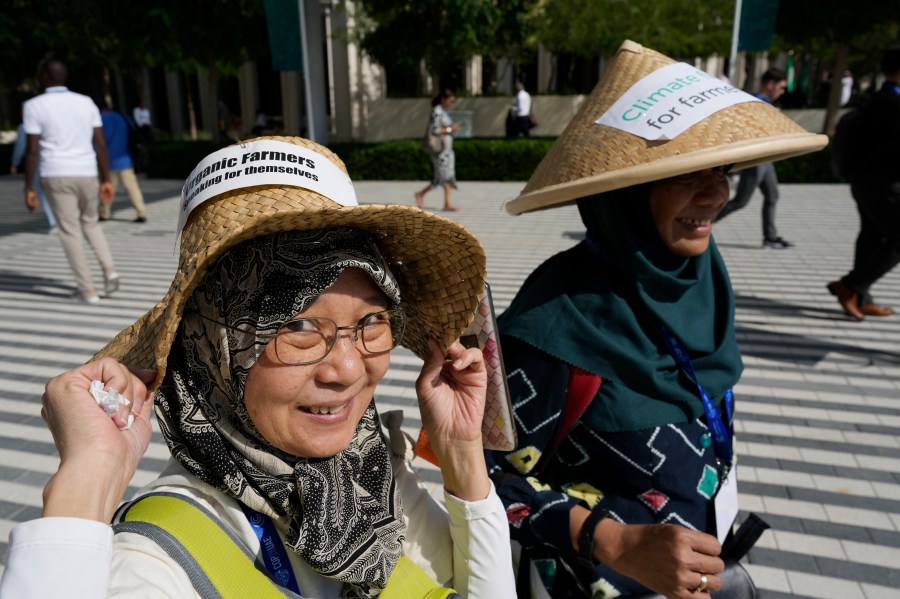 Demonstrators for climate for farmers walk through the COP28 U.N. Climate Summit, Saturday, Dec. 9, 2023, in Dubai, United Arab Emirates. (AP Photo/Peter Dejong)