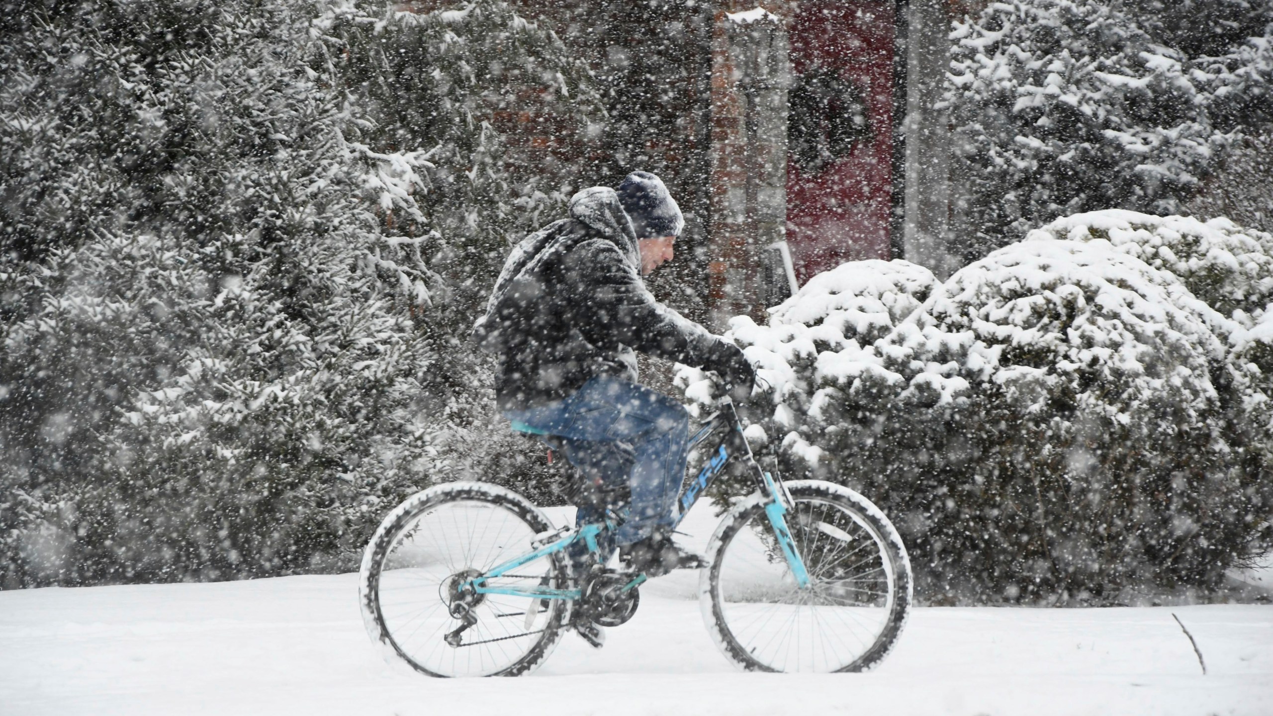 A cyclist navigates the sidewalk along State Road in North Adams, Mass., on Sunday afternoon, Jan. 7, 2024, during the height of the snowstorm. (Gillian Jones-Heck/The Berkshire Eagle via AP)