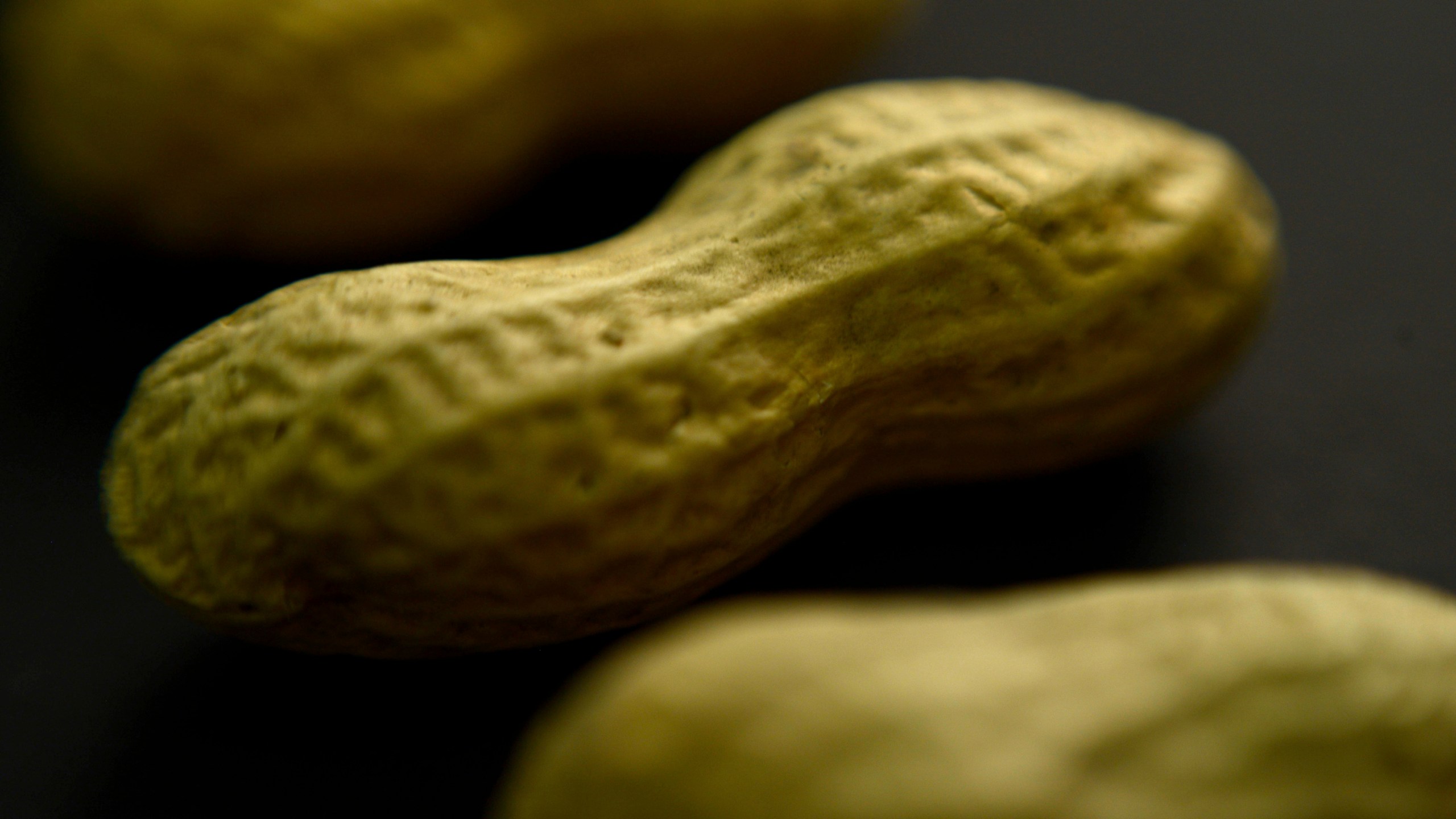 FILE - This Feb. 20, 2015 photo shows an arrangement of peanuts in New York. Xolair, the brand name for the drug omalizumab, used to treat asthma can now be used to help people with food allergies avoid severe reactions, the U.S. Food and Drug Administration said Friday, Feb. 16, 2024. (AP Photo/Patrick Sison, File)