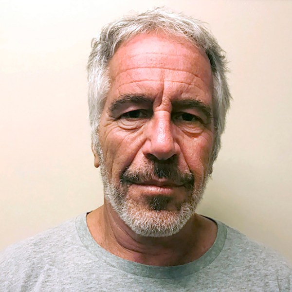 A mugshot-style photo of Jeffrey Epstein.