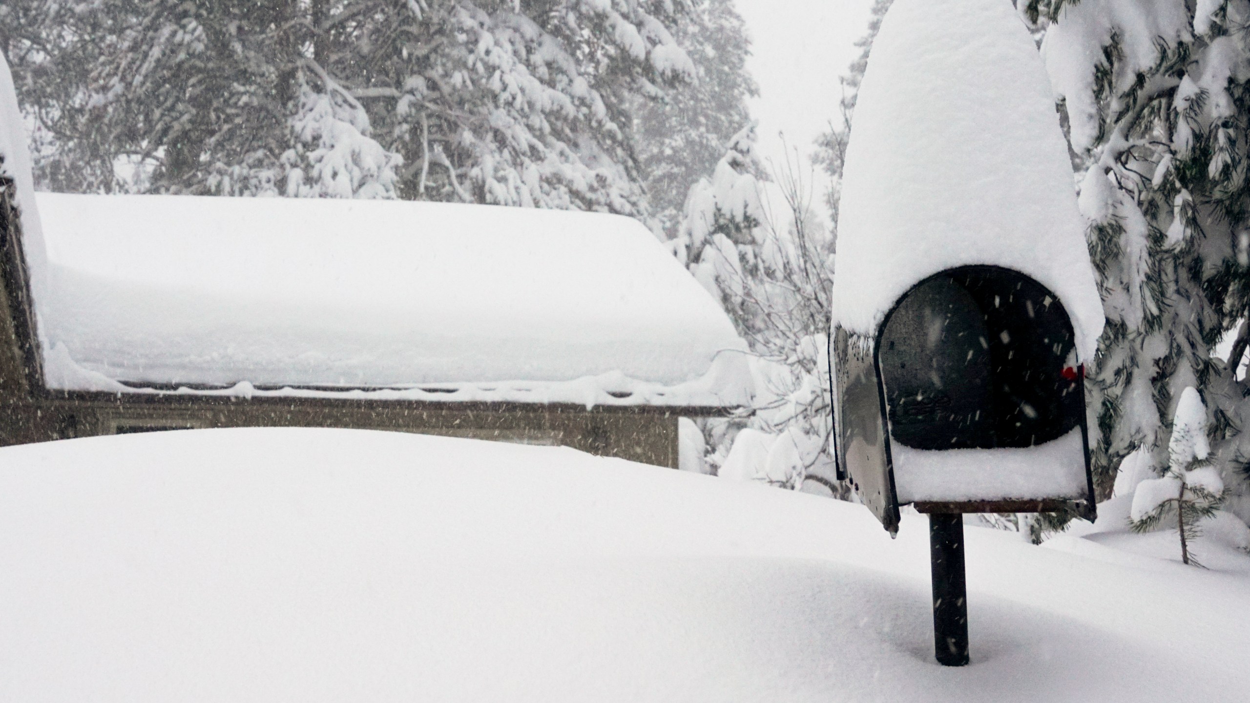 A mailbox and the roof of a home are covered in snow during a storm, Saturday, March 2, 2024, in Truckee, Calif. A powerful blizzard howled Saturday in the Sierra Nevada as the biggest storm of the season shut down a long stretch of Interstate 80 in California and gusty winds and heavy rain hit lower elevations, leaving tens of thousands of homes without power. (AP Photo/Brooke Hess-Homeier)