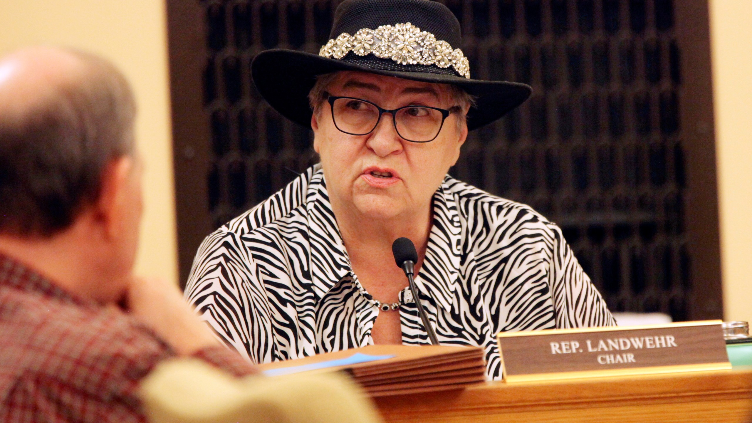 Kansas state Rep. Brenda Landwehr, R-Wichita, presides as chair over a meeting of the House Health and Human Services Committee as it discusses Medicaid expansion, Thursday, March 21, 2024, at the Statehouse in Topeka, Kan. Republicans on the committee have kept it from advancing Democratic Gov. Laura Kelly's plan for expanding Medicaid to the full House. (AP Photo/John Hanna)