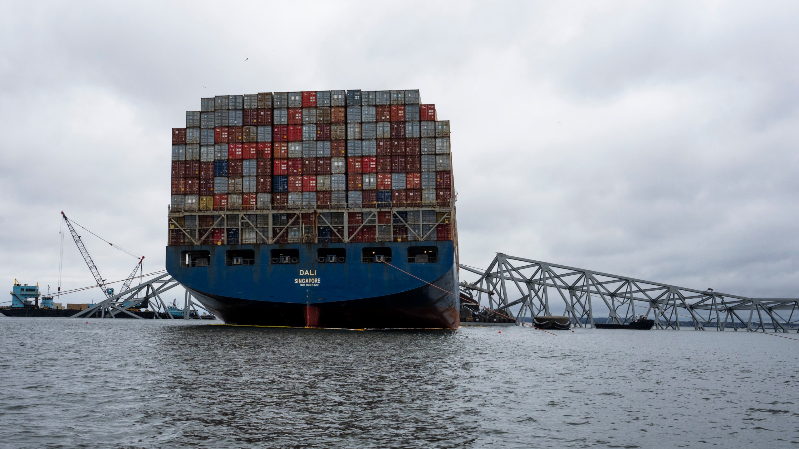 The Dali, a massive container ship from Singapore, still sits amid the wreckage and collapse of the Francis Scott Key Bridge in the Baltimore port, Monday, April 1, 2024. (Kaitlin Newman/The Baltimore Banner via AP)