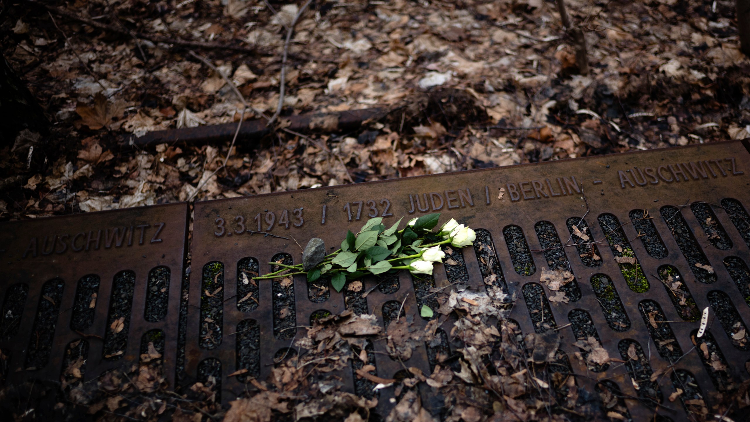 FILE - A white rose is placed at the 'Gleis 17', Track 17, the memorial site for the train transportation from Berlin to the camp, on International Holocaust Remembrance Day in Berlin, Germany, on Jan. 27, 2024. The International Holocaust Remembrance Day marks the anniversary of the liberation of the Nazi death camp Auschwitz - Birkenau on Jan. 27, 1945. (AP Photo/Markus Schreiber, File)