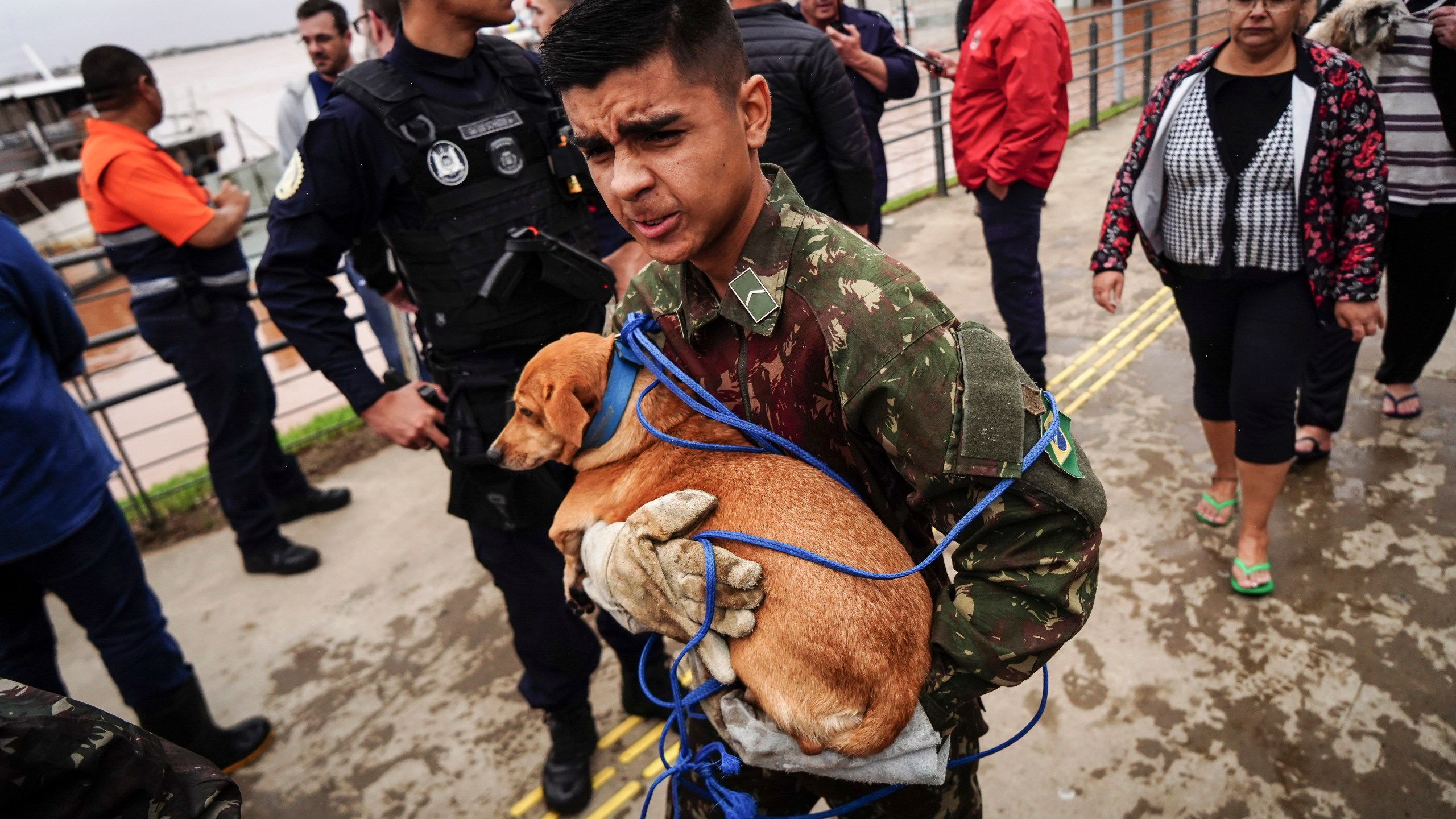 A soldier evacuates a dog from an area flooded by heavy rains, in Porto Alegre, Rio Grande do Sul state, Brazil, Friday, May 3, 2024. (AP Photo/Carlos Macedo)