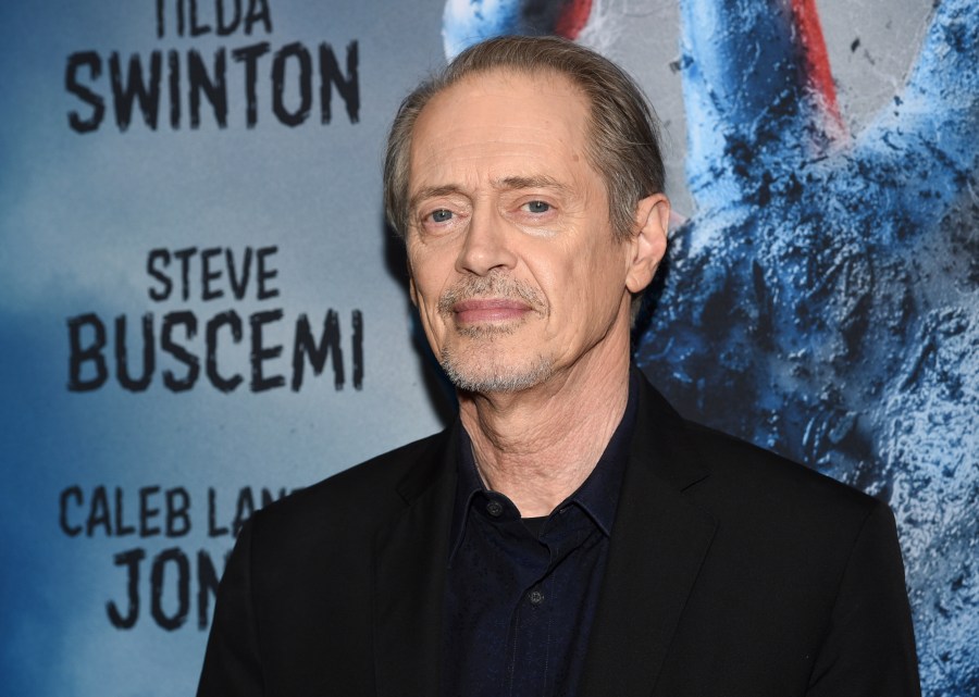 FILE - Actor Steve Buscemi attends the premiere of "The Dead Don't Die" at the Museum of Modern Art, June 10, 2019, in New York. Buscemi was punched in the face by a random attacker on a New York City street, Wednesday, May 8, 2024, according to police and his publicist. (Photo by Evan Agostini/Invision/AP, File)