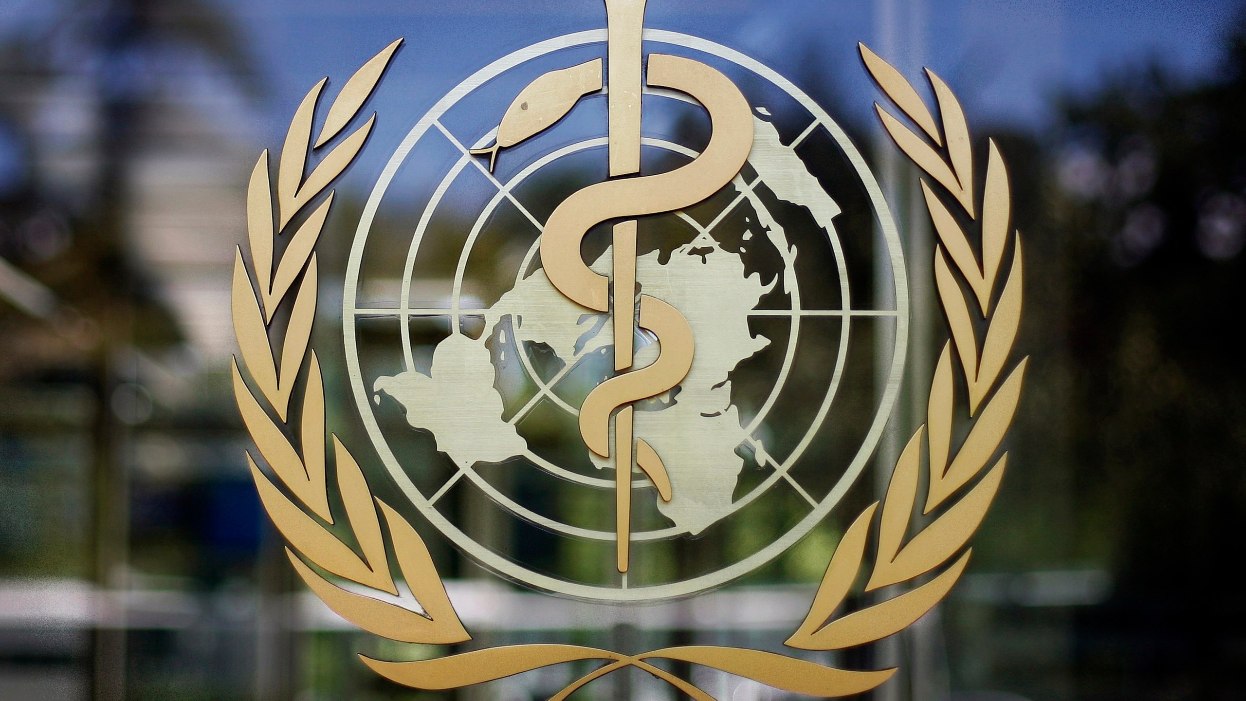 FILE - The logo of the World Health Organization is seen at the WHO headquarters in Geneva, Switzerland, June 11, 2019. A death in Mexico was caused by a strain of bird flu that has never before been found in a human, the World Health Organization said Wednesday. (AP Photo/Anja Niedringhaus, File)