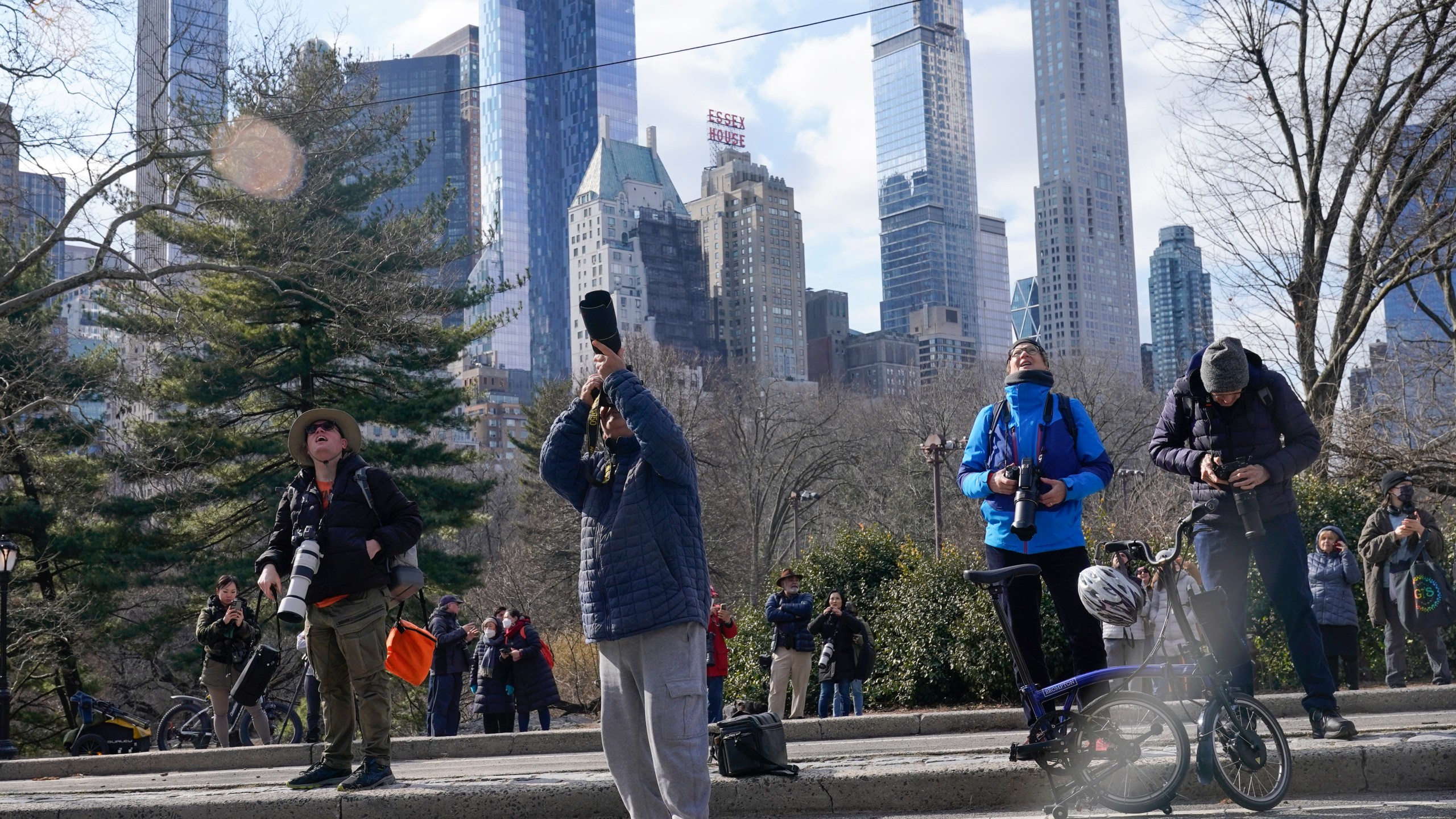 FILE - A crowd of people gather to look at a Eurasian eagle-owl named Flaco in Central Park, in New York, Monday, Feb. 6, 2023. The conservationist group known as NYC Audubon has changed its name to NYC Bird Alliance to distance itself from the pro-slavery views of ornithologist and illustrator John James Audubon, the organization announced. The name change, which was formalized by a June 5, 2024, membership vote, follows similar moves by Audubon Society chapters in Chicago, Seattle, Portland, Oregon and other cities. (AP Photo/Seth Wenig, File)