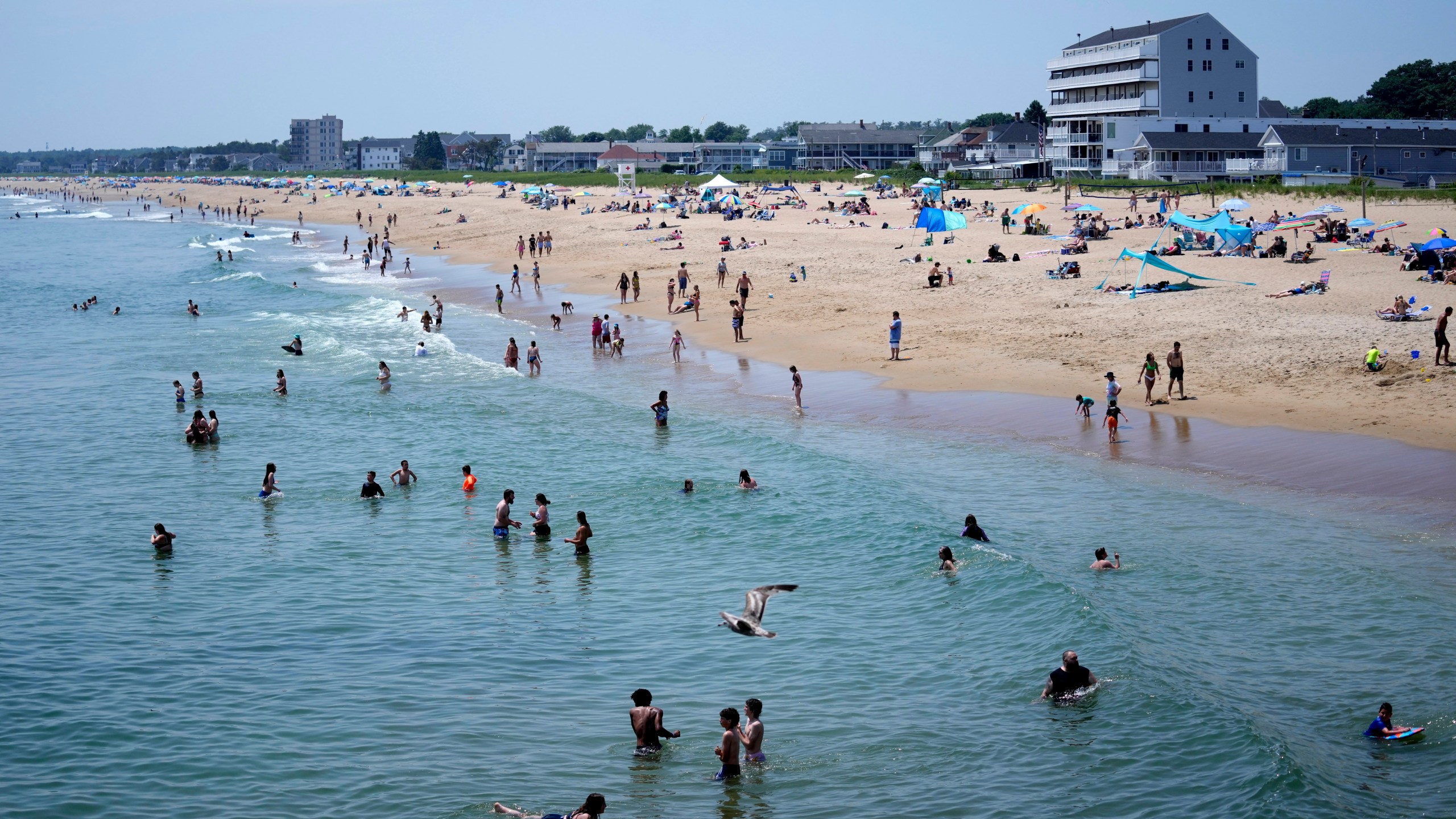 The cool waters of the Atlantic Ocean attract a crowd to Old Orchard Beach, Maine, Tuesday, June 18, 2024. The heat wave that has been hitting much of the United States is now moving into the Northeast. (AP Photo/Robert F. Bukaty)