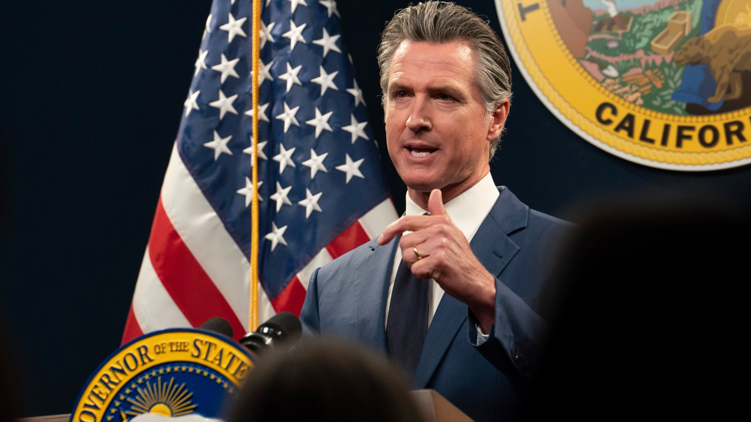 Gavin Newsom speaks at a press conference.