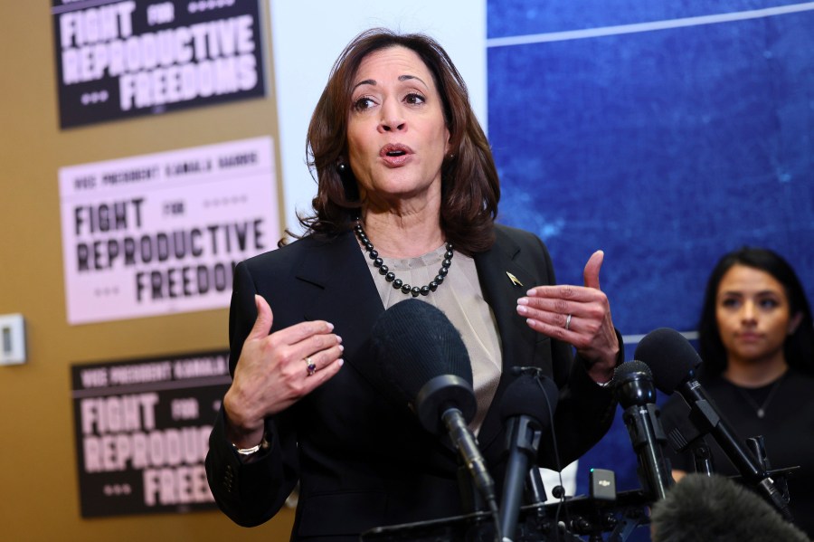 FILE - Vice President Kamala Harris speaks at Planned Parenthood, March. 14, 2024, in St. Paul, Minn. Harris says "everything is at stake" with reproductive health rights in November's presidential election. Harris' statements from segments of an MSNBC interview that aired Sunday, June 23, comes as the Biden campaign steps up its focus on contrasting Joe Biden and Donald Trump's positions on the issue ahead of this Thursday's presidential debate. (AP Photo/Adam Bettcher, File)