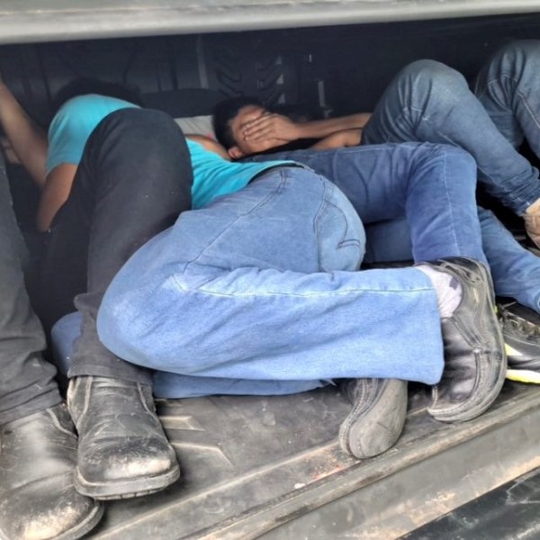 A group of people in the trunk of a car.