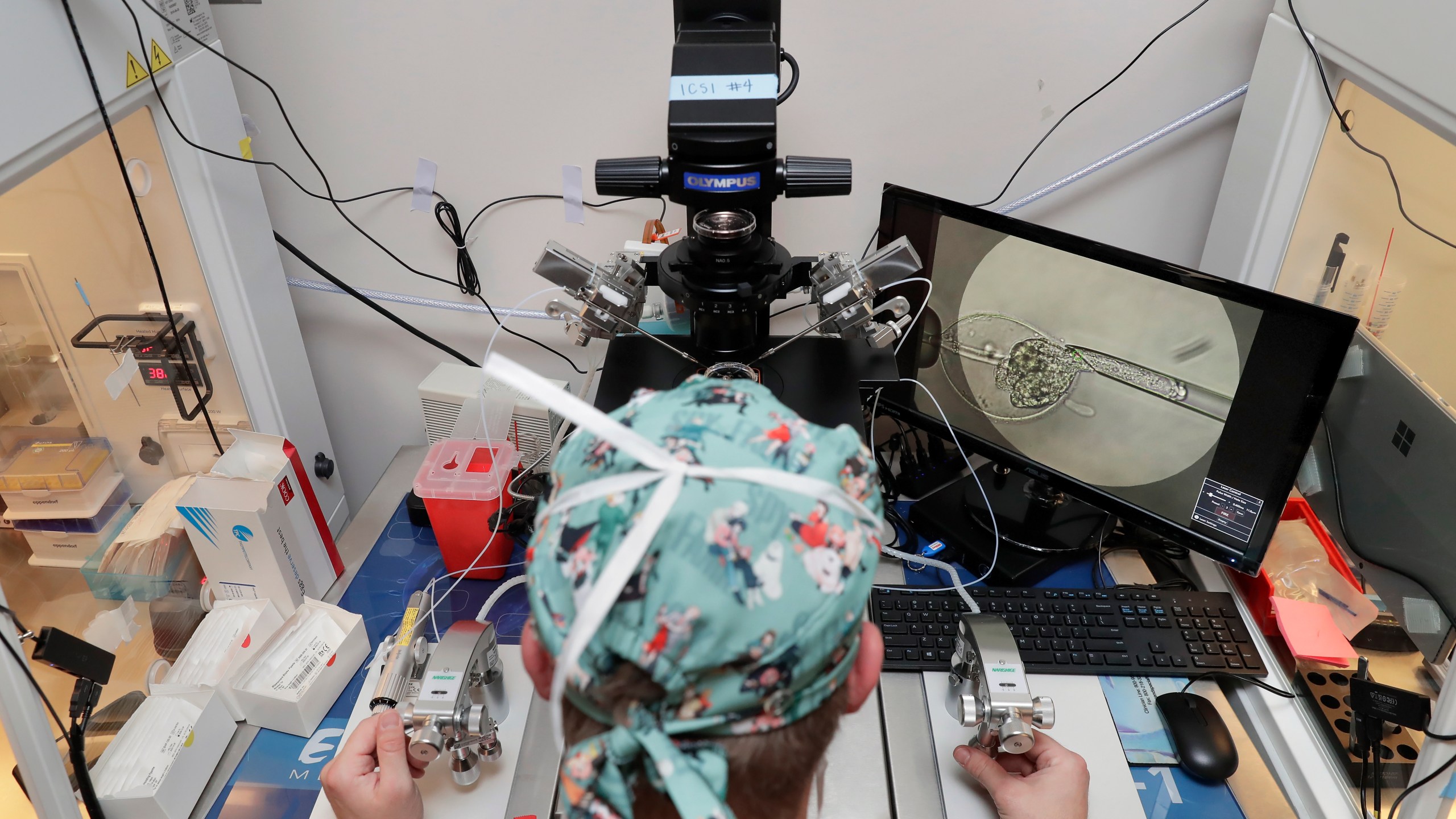 FILE - Lab staff use a microscope stand and articulated hand controls to extract cells from 1-7 day old embryos, shown on the monitor at right, that are then checked for viability at the Aspire Houston Fertility Institute in vitro fertilization lab Feb. 27, 2024, in Houston. According to a new poll from The Associated Press-NORC Center for Public Affairs Research, relatively few Americans fully endorse the idea that a fertilized egg should have the same rights as a pregnant woman. But a significant share – 46% -- say it describes their views at least somewhat well. (AP Photo/Michael Wyke, File)