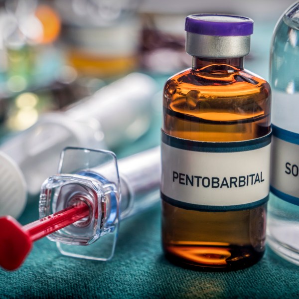 Stock photo of vial with pentobarbital.