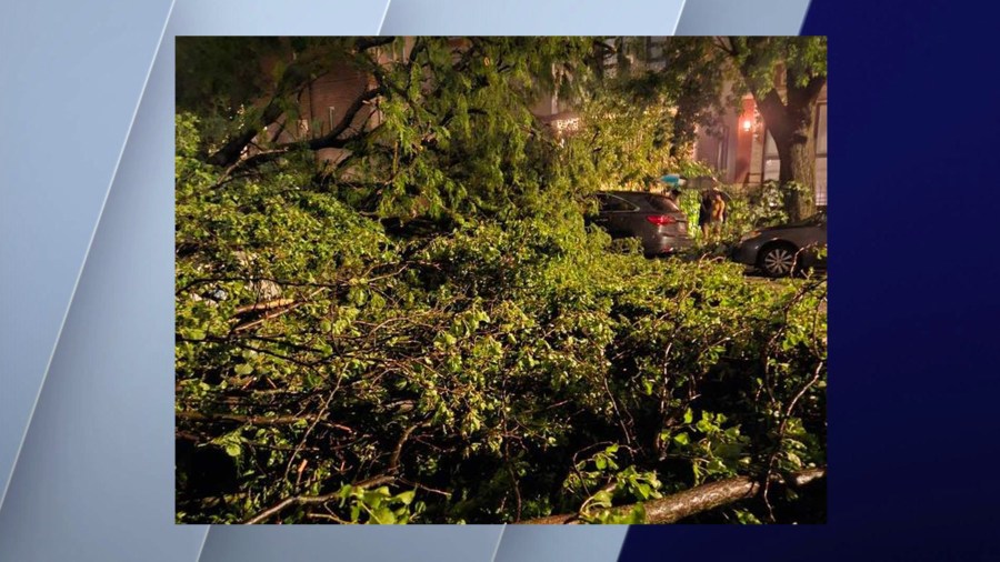 Tree limbs could be seen toppled over in Ukraine Village in Chicago, Illinois, on July 15, 2024.