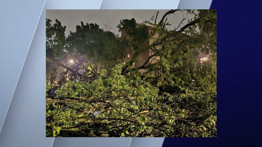 Tree limbs could be seen toppled over in Ukraine Village in Chicago, Illinois, on July 15, 2024.