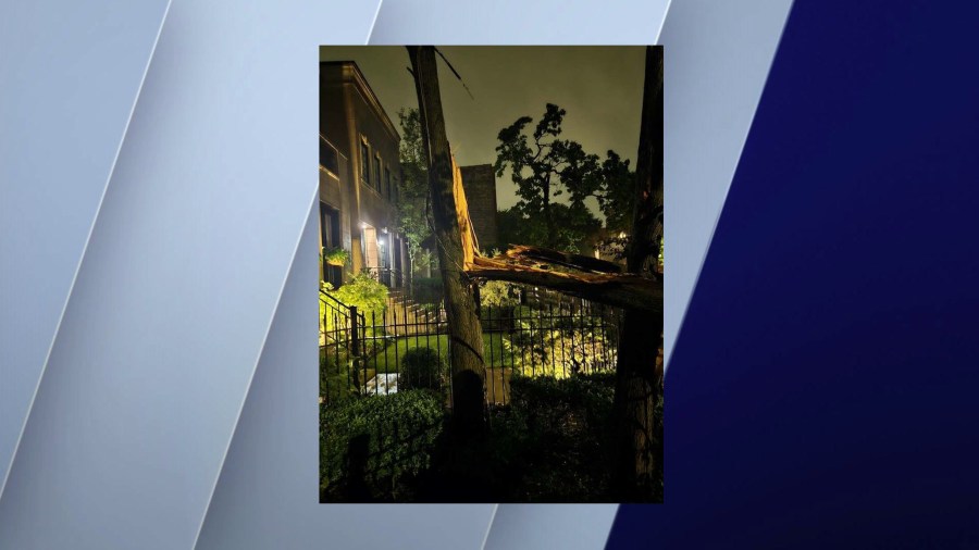 Tree limbs could be seen toppled over in Ukraine Village in Chicago, Illinois, on July 15, 2024.