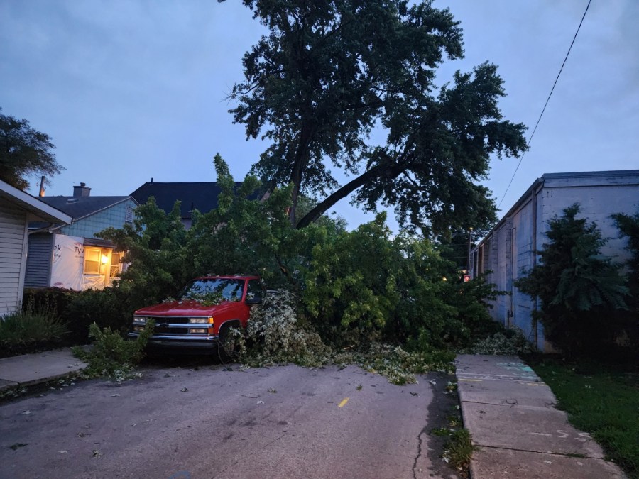 Tree down on Franklin Avenue in Fort Wayne, Indiana, after severe storms tore through the area on July 15, 2024.