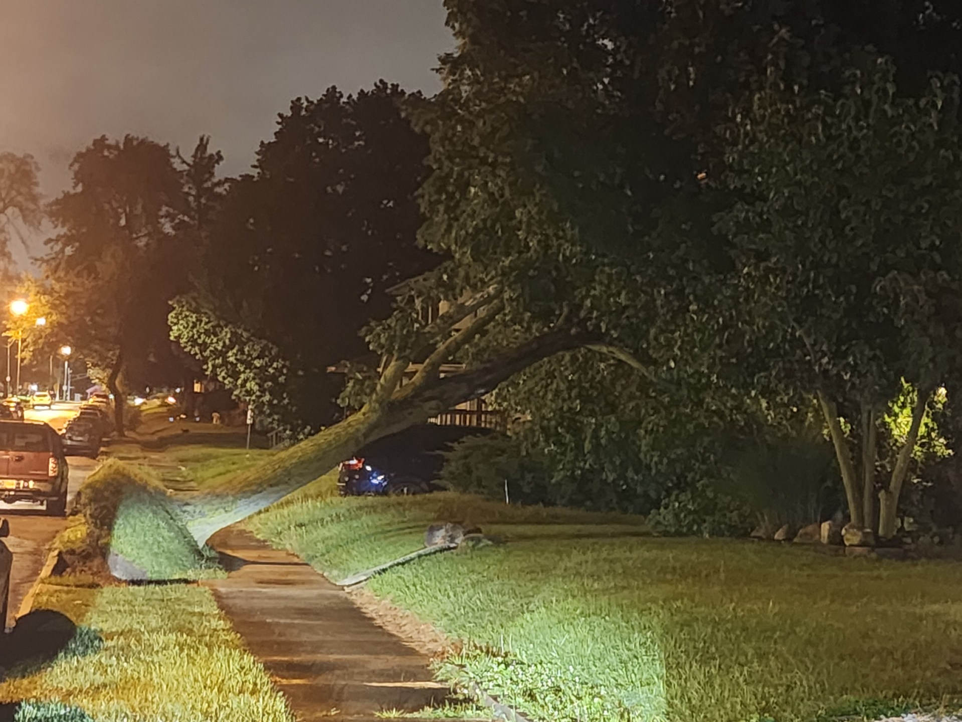 Tree down on Smith Street in Fort Wayne, Indiana, after severe storms tore through the area on July 15, 2024.