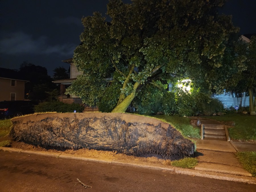 Tree uprooted on Smith Street in Fort Wayne, Indiana, after severe storms tore through the area on July 15, 2024. 