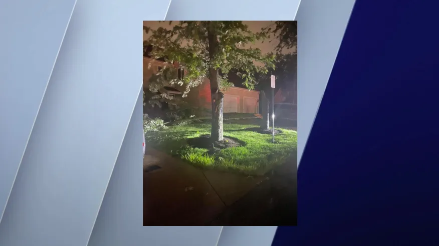 A downed tree collapsed in front of a home in Hanover Park, Illinois, on July 15, 2024.