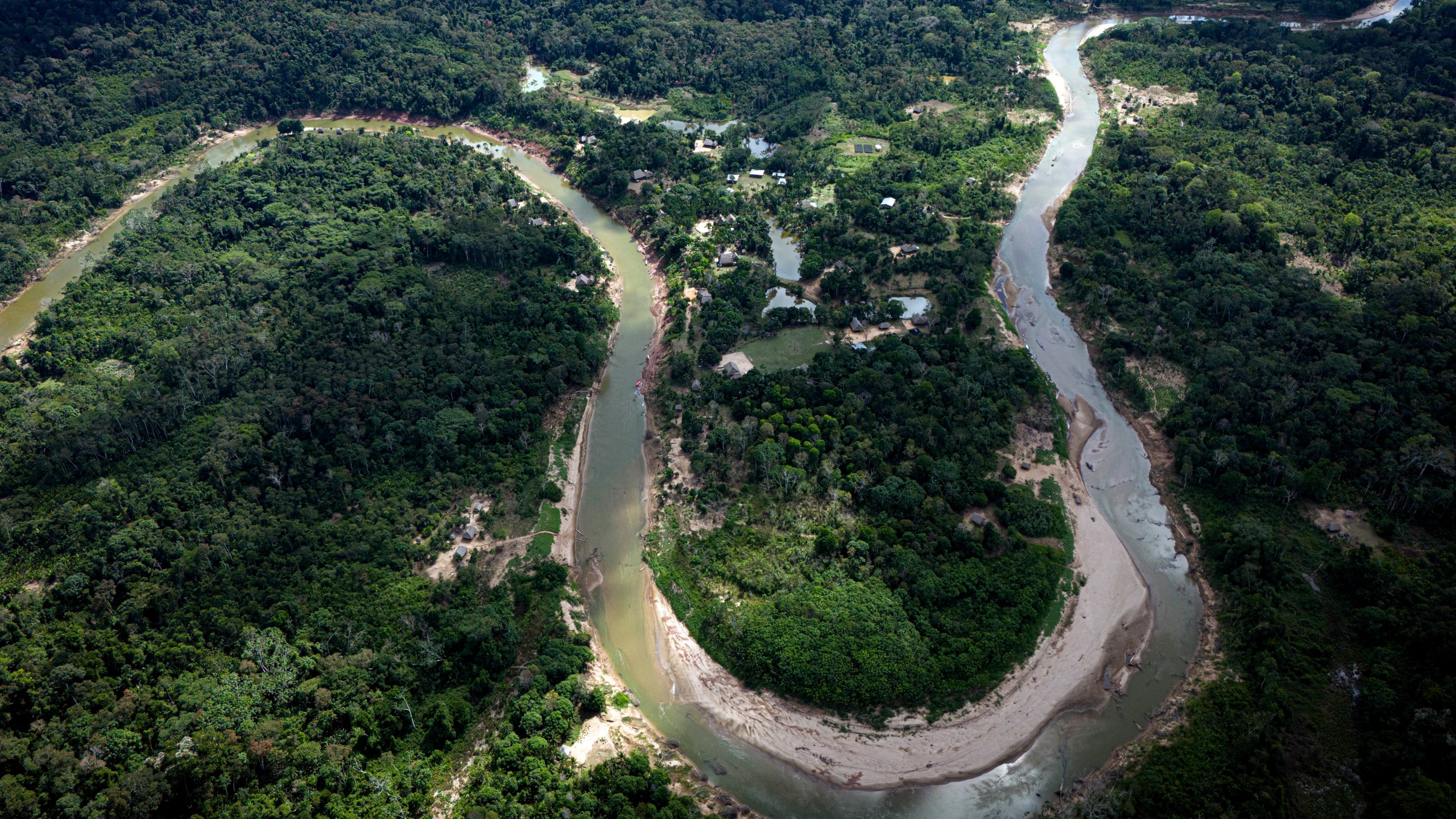 Ashaninka's territory sits along the winding Amonia River in Acre state, Brazil, Saturday, June 22, 2024. (AP Photo/Jorge Saenz)