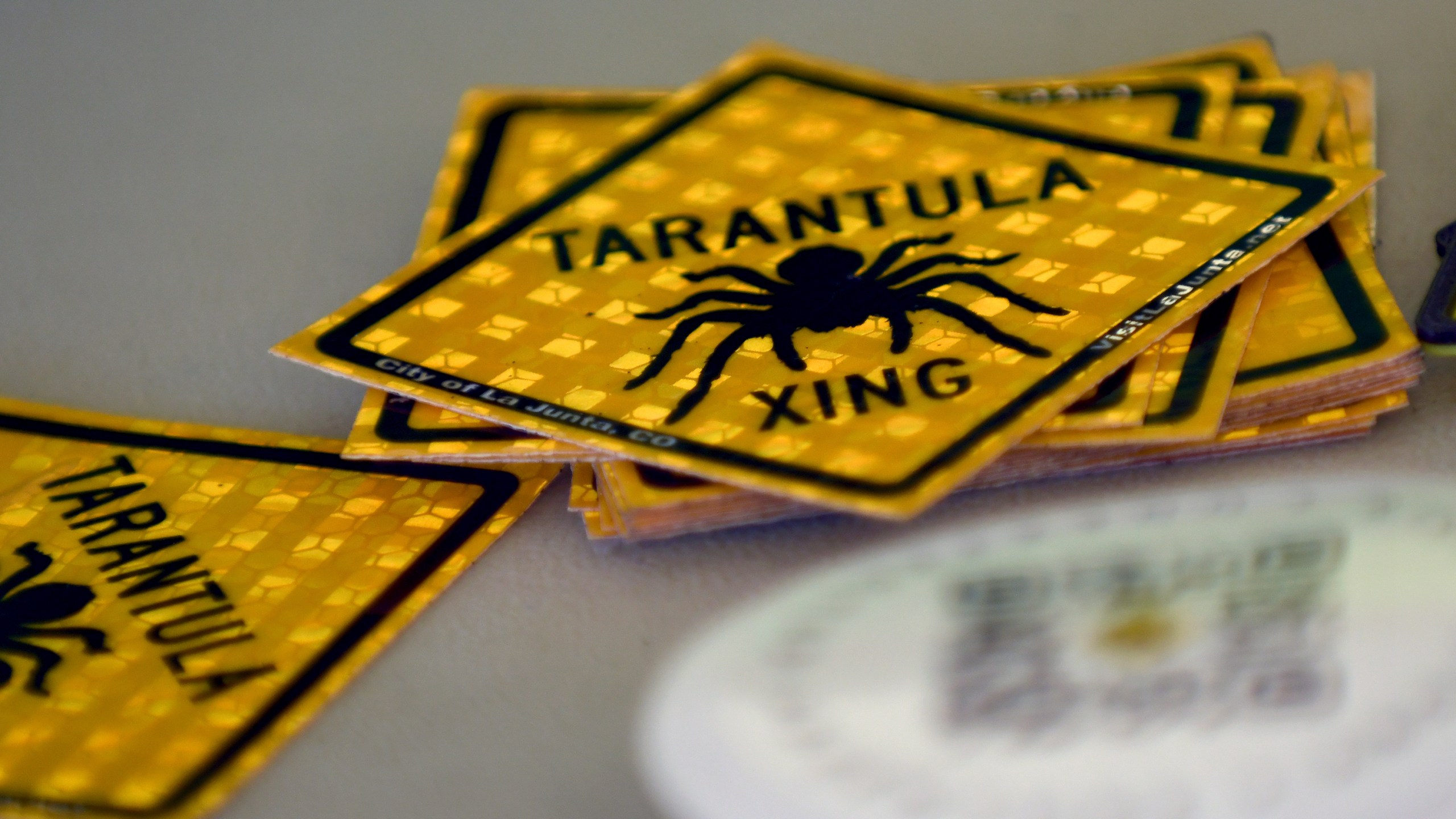 Tarantula crossing stickers are piled on a table at the Tarantula Festival in La Junta, Colo., on Saturday, Sept. 28, 2024. (AP Photo/Thomas Peipert)