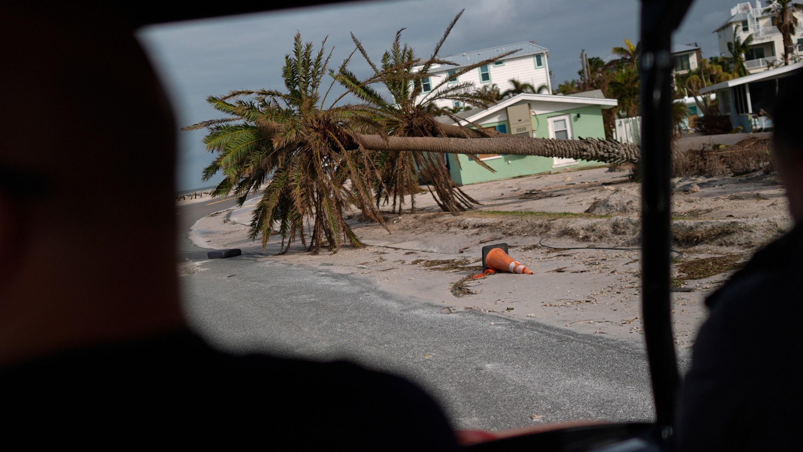 FILE - Toppled palm tress lie alongside a road in Bradenton Beach on Anna Maria Island, Fla., Oct. 10, 2024. (AP Photo/Rebecca Blackwell, File)