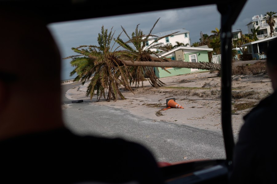 FILE - Toppled palm tress lie alongside a road in Bradenton Beach on Anna Maria Island, Fla., Oct. 10, 2024. (AP Photo/Rebecca Blackwell, File)