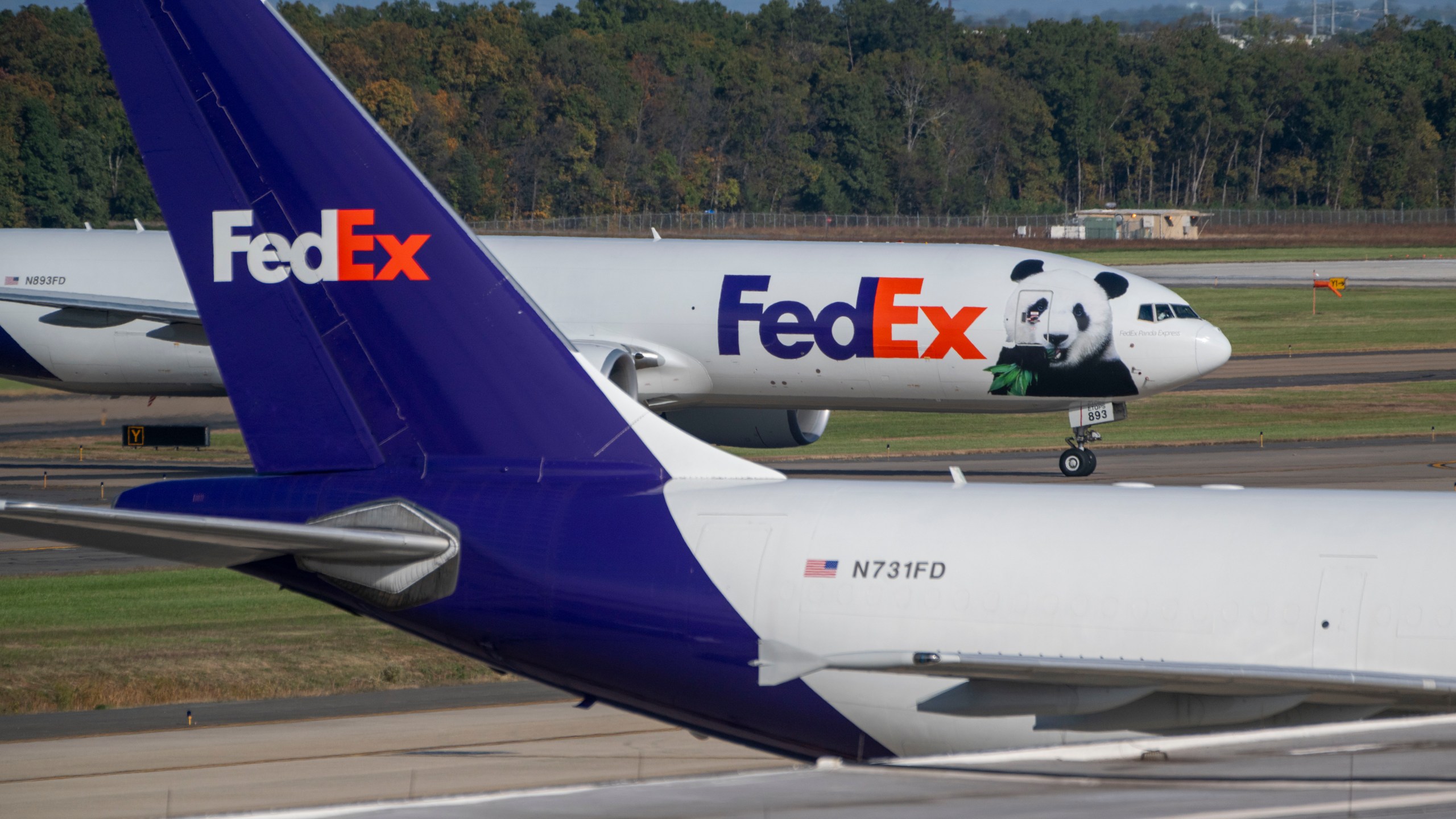 A FedEx cargo plane arrives at Dulles International Airport carrying giant pandas from China on Tuesday, Oct. 15, 2024 in Sterling, Va. (AP Photo/Kevin Wolf)