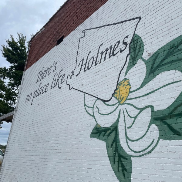 A mural promoting Holmes County, Mississippi, is shown in the side of a building in downtown Lexington, Miss., on Friday, Sept. 27, 2024. (AP Photo/Emily Wagster Pettus)