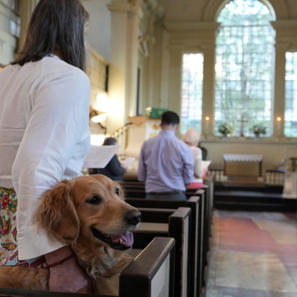 Madeline Tess Farmer and her golden retriever dog, Wrigley, join a Blessing of the Animals ceremony in honor of St. Francis at Philadelphia’s Christ Church on Sunday, Oct. 6, 2024. (AP Photo/Luis Andres Henao)