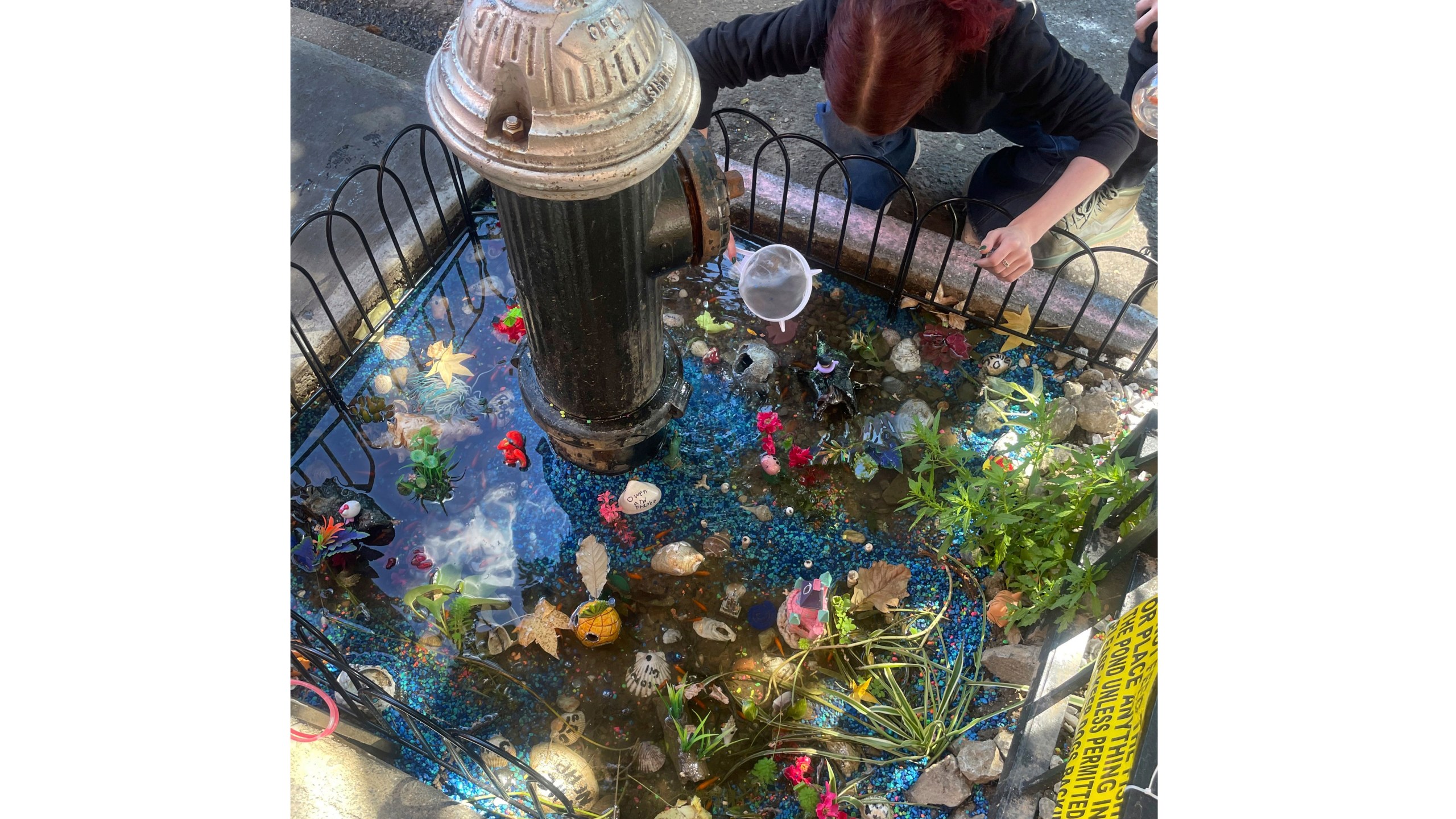 A woman tends to the makeshift aquarium goldfish pool created by a leaky fire hydrant in the Brooklyn borough of New York, Sept. 8, 2024. (AP Photo/Karen Matthews)