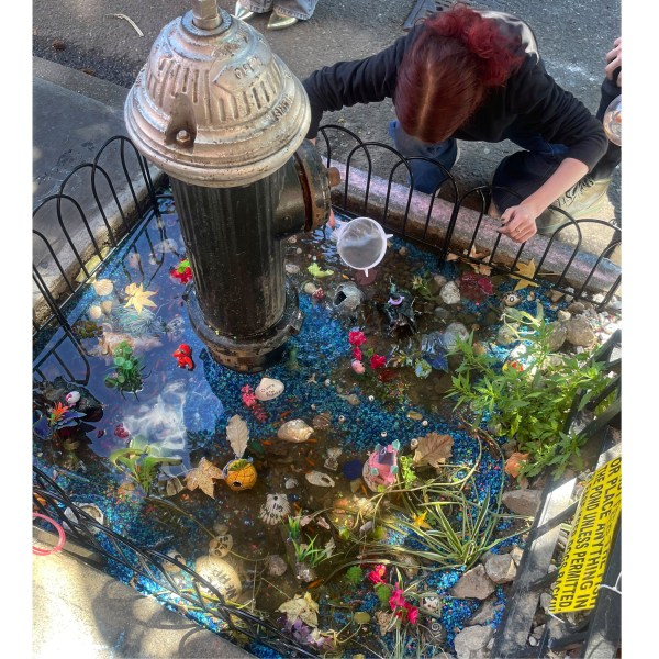 A woman tends to the makeshift aquarium goldfish pool created by a leaky fire hydrant in the Brooklyn borough of New York, Sept. 8, 2024. (AP Photo/Karen Matthews)