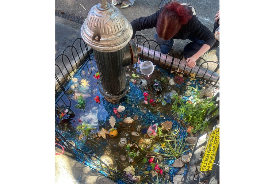 A woman tends to the makeshift aquarium goldfish pool created by a leaky fire hydrant in the Brooklyn borough of New York, Sept. 8, 2024. (AP Photo/Karen Matthews)