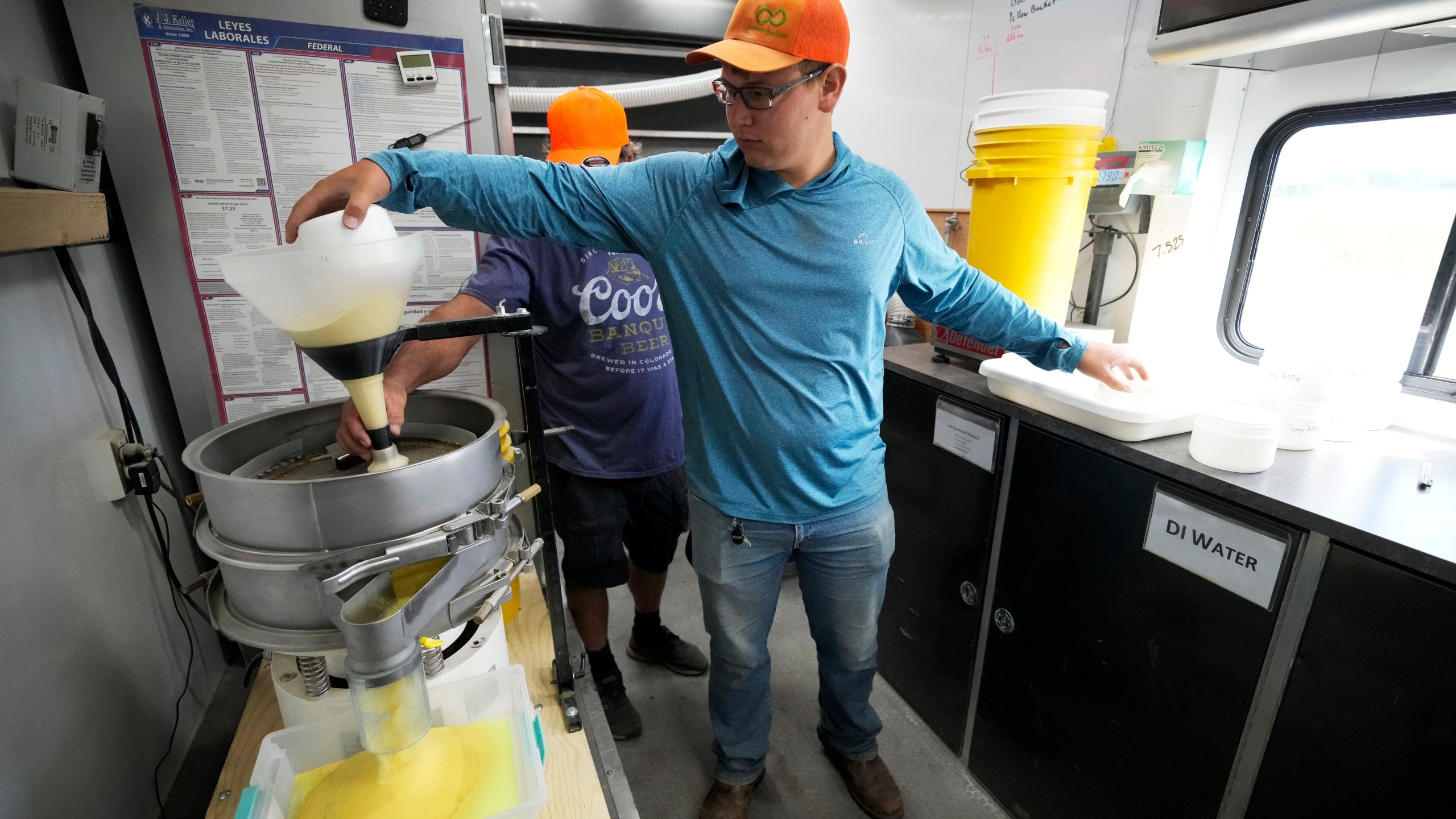 Dylan Riedemann sifts pollen after it was removed from corn in a field, Thursday, Aug. 22, 2024, near Ames, Iowa. (AP Photo/Charlie Neibergall)