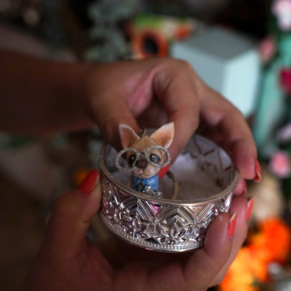 Meztli Lizaola sets a figurine depicting her pet chihuahua Taco into a silver container to be placed on a Day of the Dead altar honoring Taco’s memory, in her home in Mexico City, Wednesday, Oct. 30, 2024. (AP Photo/Fernando Llano)