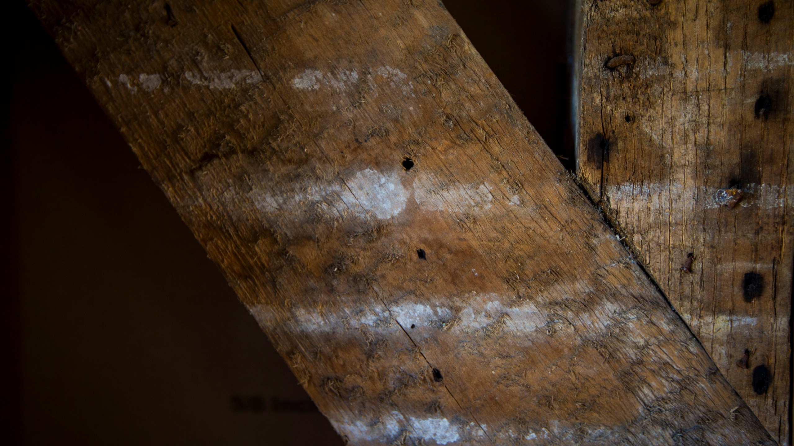 Residue from the original plaster walls of the Williamsburg Bray School on Wednesday, Oct 30, 2024 in Williamsburg, Va. (AP Photo/John C. Clark)