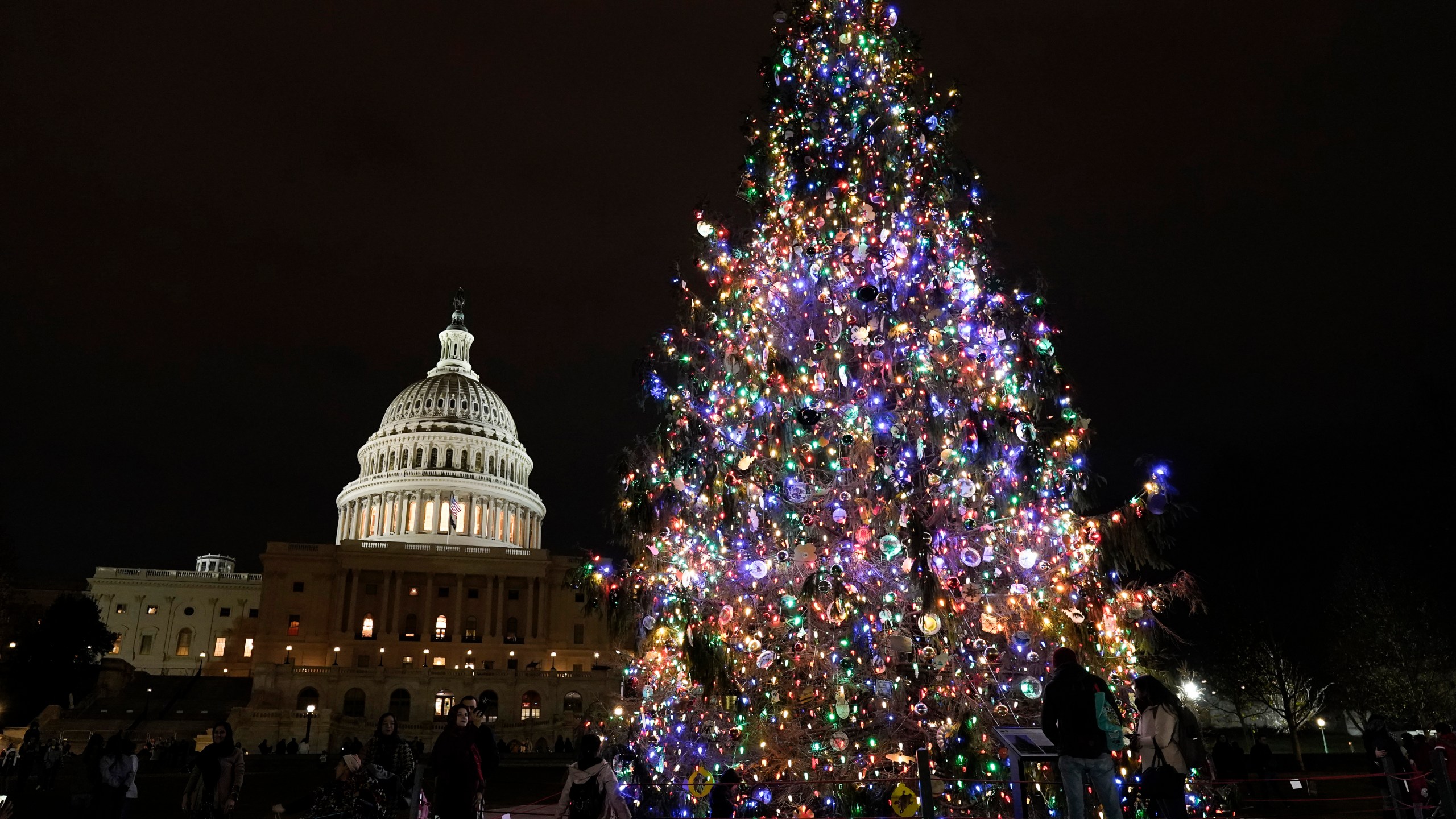 FILE - A Christmas tree is displayed in front of the U.S. Capitol on Dec. 29, 2023, in Washington. (AP Photo/Mariam Zuhaib, File)