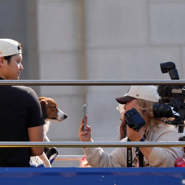 Los Angeles Dodgers' Shohei Ohtani is photographed with his dog Decoy during the Los Angeles Dodgers baseball World Series championship parade Friday, Nov. 1, 2024, in Los Angeles. (AP Photo/Jae C. Hong)