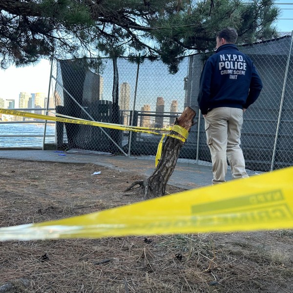 An NYPD officer works at the scene of a stabbing in New York, Monday, Nov. 18, 2024. (AP Photo/David R. Martin)